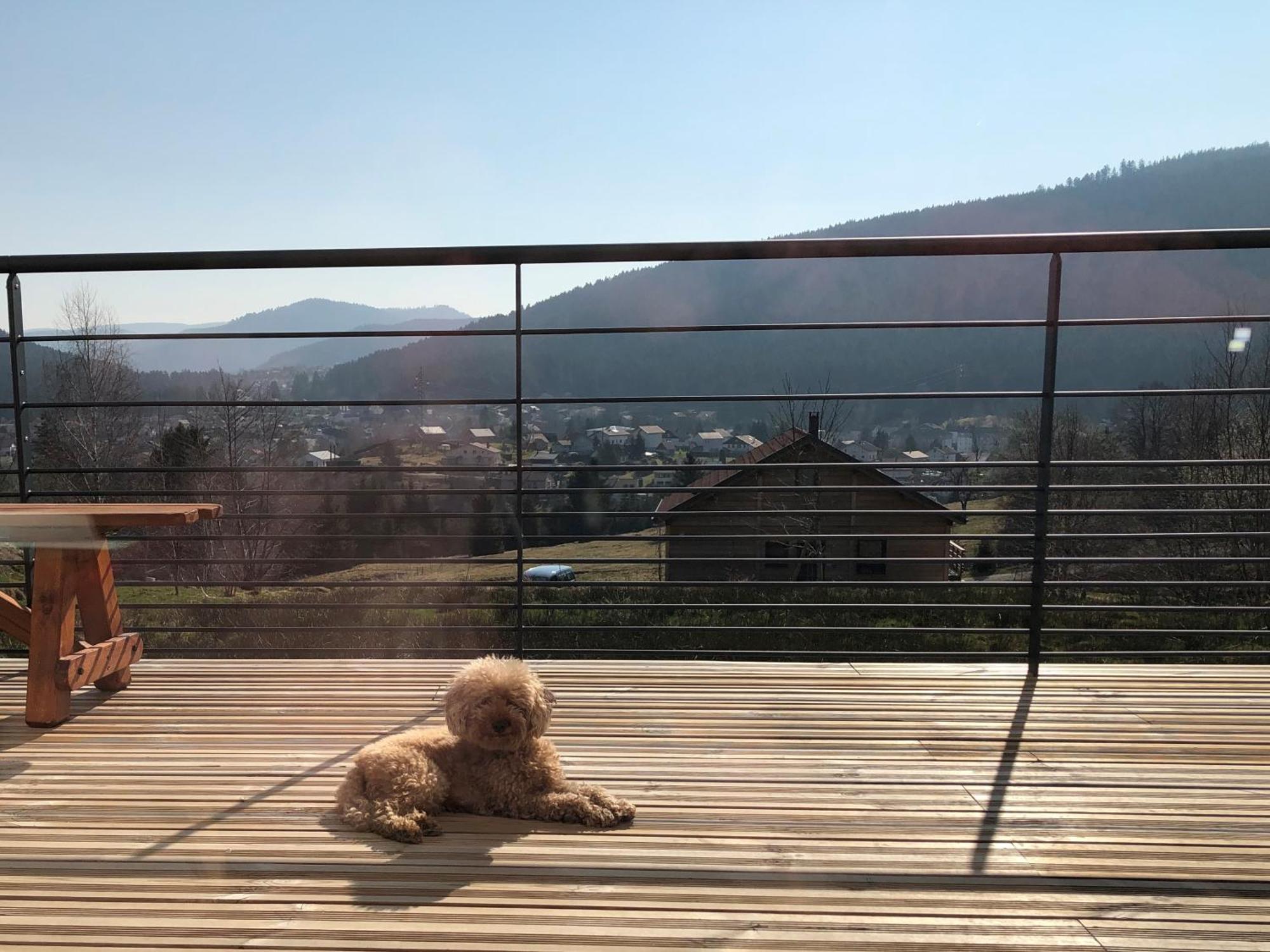 La Renouee Holiday home Gerardmer